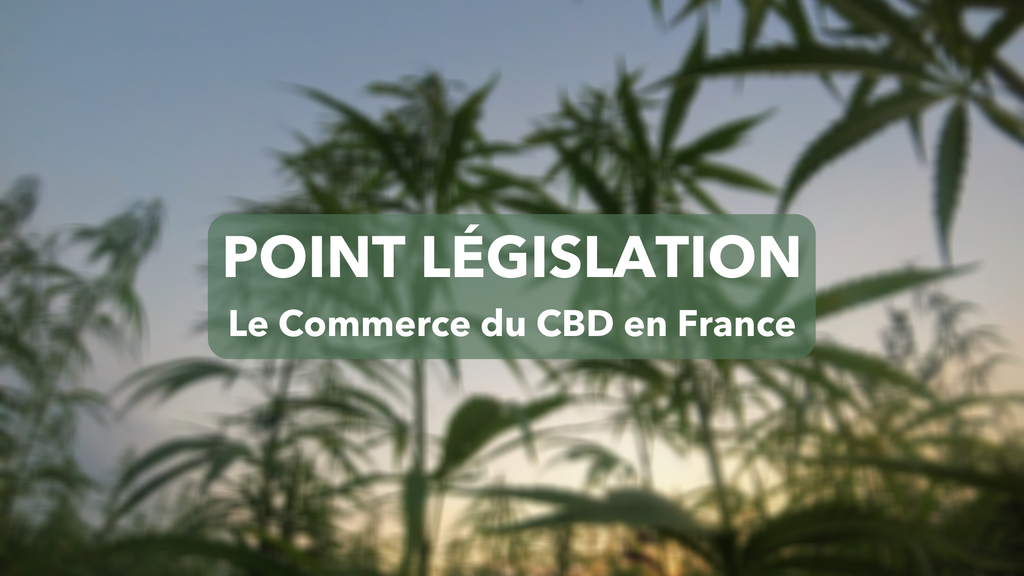 Point législation : le commerce du CBD en France en 2020